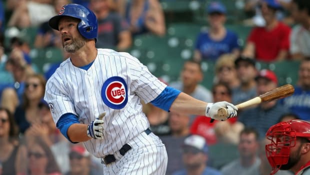 chicago-cubs-david-ross-rascal.jpg